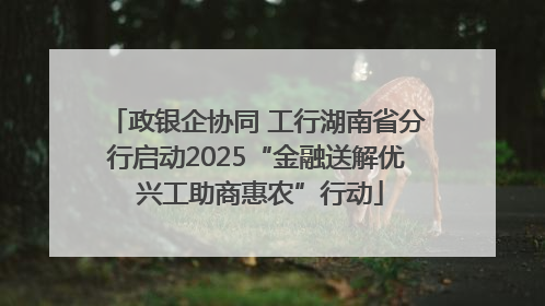 政银企协同 工行湖南省分行启动2025“金融送解优 兴工助商惠农”行动
