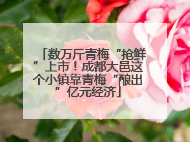 数万斤青梅“抢鲜”上市！成都大邑这个小镇靠青梅“酿出”亿元经济