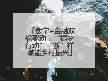 数字+金融双轮驱动，“栀梦行动”“浙”样赋能乡村振兴