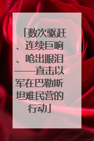 数次驱赶、连续巨响、呛出眼泪——直击以军在巴勒斯坦难民营的行动