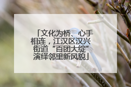文化为桥、心手相连，江汉区汉兴街道“百团大绽”演绎邻里新风貌