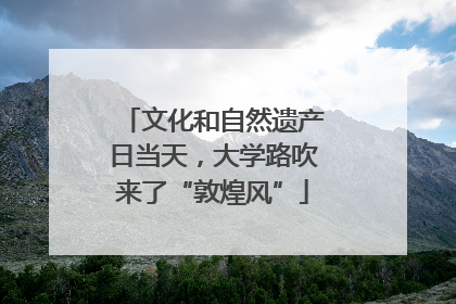 文化和自然遗产日当天，大学路吹来了“敦煌风”