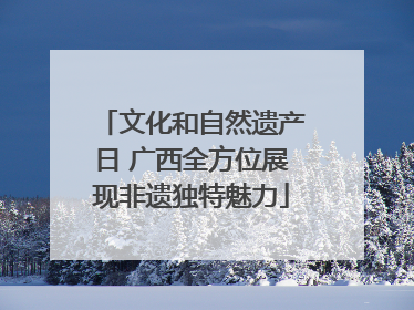 文化和自然遗产日 广西全方位展现非遗独特魅力