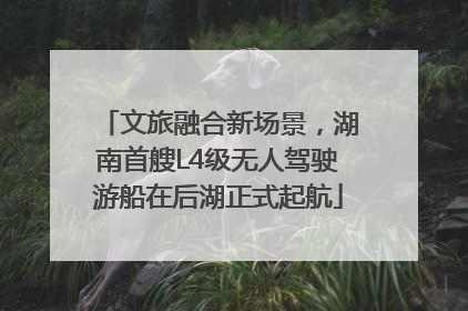 文旅融合新场景，湖南首艘L4级无人驾驶游船在后湖正式起航