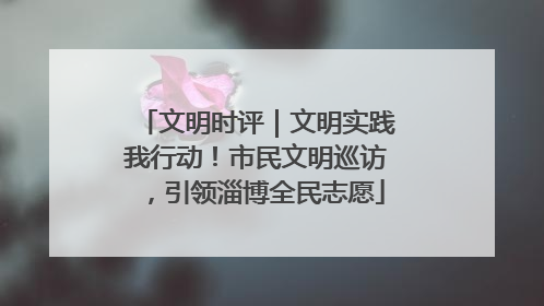 文明时评｜文明实践我行动！市民文明巡访，引领淄博全民志愿