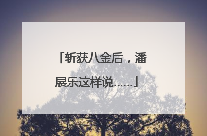 斩获八金后，潘展乐这样说……