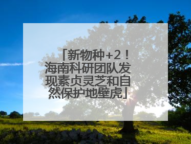 新物种+2！海南科研团队发现素贞灵芝和自然保护地壁虎