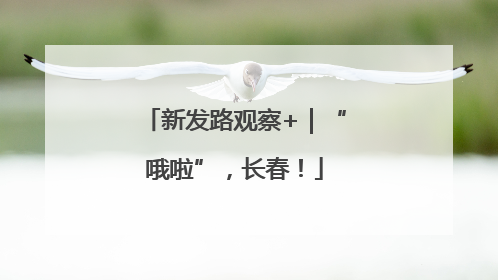 新发路观察+｜“哦啦”，长春！