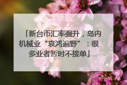 新台币汇率强升，岛内机械业“哀鸿遍野”：很多业者暂时不接单
