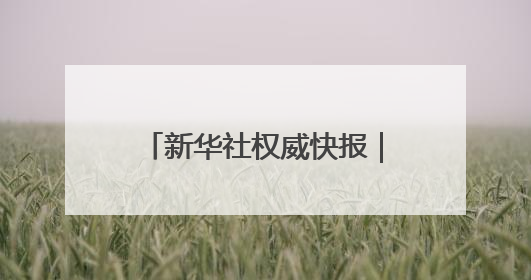 新华社权威快报｜中欧班列累计开行110000列