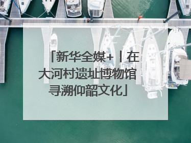 新华全媒+丨在大河村遗址博物馆寻溯仰韶文化