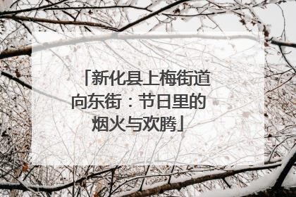 新化县上梅街道向东街：节日里的烟火与欢腾