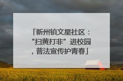新州镇文星社区：“扫黄打非”进校园，普法宣传护青春