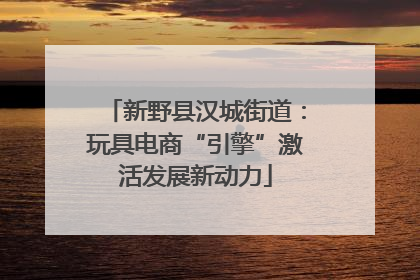 新野县汉城街道：玩具电商“引擎”激活发展新动力