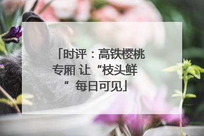 时评：高铁樱桃专厢 让“枝头鲜”每日可见