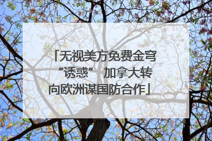 无视美方免费金穹“诱惑” 加拿大转向欧洲谋国防合作