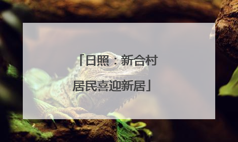 日照：新合村居民喜迎新居