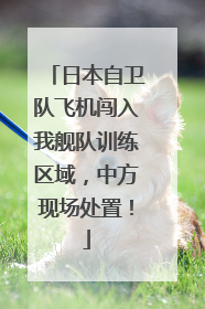 日本自卫队飞机闯入我舰队训练区域，中方现场处置！