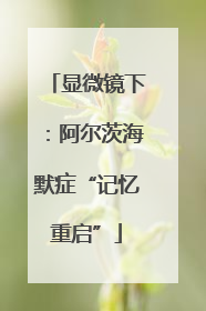 显微镜下：阿尔茨海默症“记忆重启”