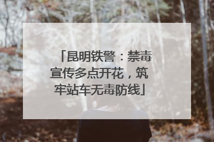 昆明铁警：禁毒宣传多点开花，筑牢站车无毒防线