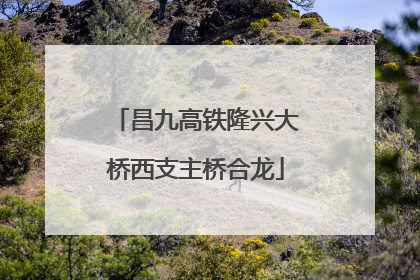 昌九高铁隆兴大桥西支主桥合龙