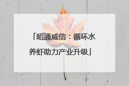 昭通威信：循环水养虾助力产业升级