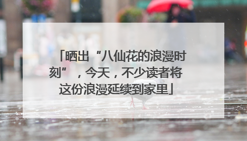 晒出“八仙花的浪漫时刻”，今天，不少读者将这份浪漫延续到家里