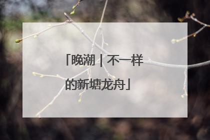 晚潮｜不一样的新塘龙舟