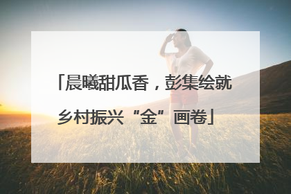 晨曦甜瓜香，彭集绘就乡村振兴“金”画卷
