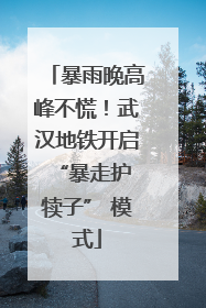 暴雨晚高峰不慌！武汉地铁开启 “暴走护犊子” 模式