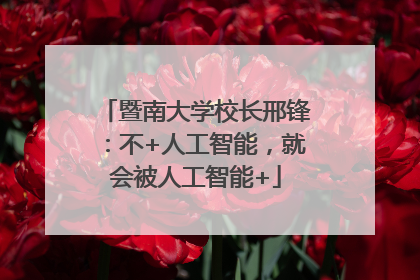 暨南大学校长邢锋：不+人工智能，就会被人工智能+