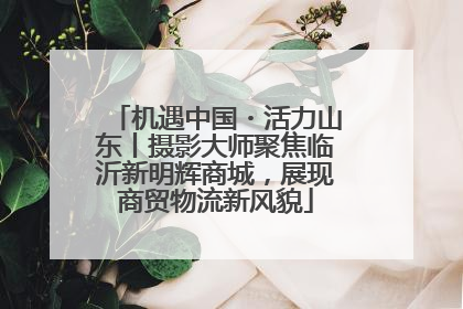 机遇中国・活力山东丨摄影大师聚焦临沂新明辉商城，展现商贸物流新风貌