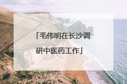 毛伟明在长沙调研中医药工作