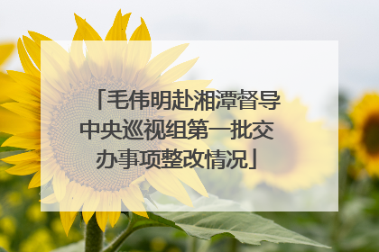 毛伟明赴湘潭督导中央巡视组第一批交办事项整改情况