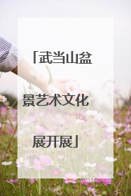 武当山盆景艺术文化展开展
