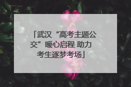 武汉“高考主题公交”暖心启程 助力考生逐梦考场