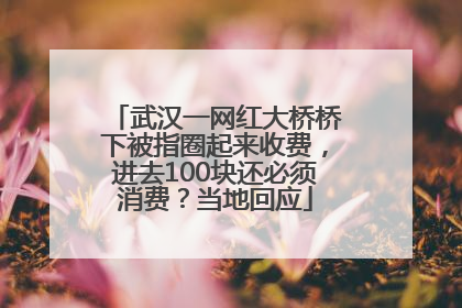 武汉一网红大桥桥下被指圈起来收费，进去100块还必须消费？当地回应