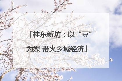 桂东新坊：以“豆”为媒 带火乡域经济