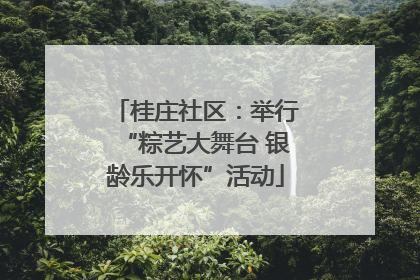 桂庄社区：举行“粽艺大舞台 银龄乐开怀”活动