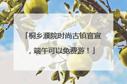 桐乡濮院时尚古镇官宣，端午可以免费游！