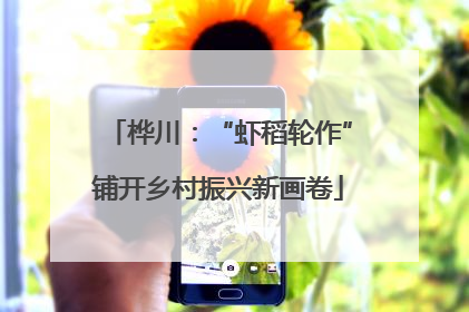 桦川：“虾稻轮作”铺开乡村振兴新画卷