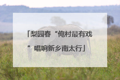 梨园春“俺村最有戏”唱响新乡南太行