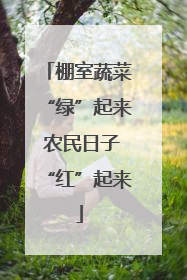 棚室蔬菜“绿”起来 农民日子“红”起来