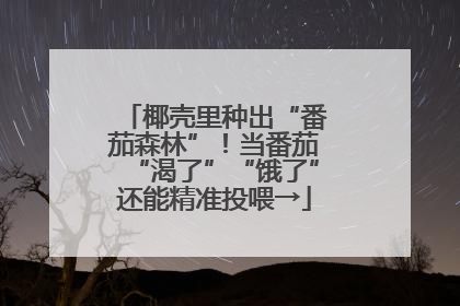 椰壳里种出“番茄森林”！当番茄“渴了”“饿了”还能精准投喂→