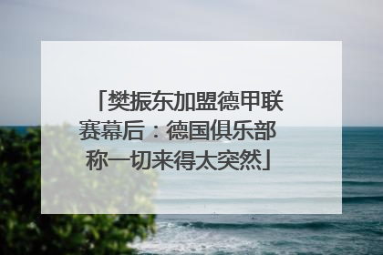 樊振东加盟德甲联赛幕后：德国俱乐部称一切来得太突然