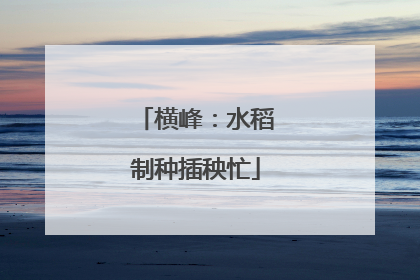 横峰：水稻制种插秧忙