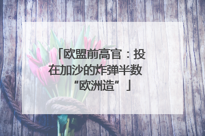 欧盟前高官：投在加沙的炸弹半数“欧洲造”