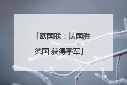 欧国联：法国胜德国 获得季军