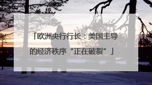 欧洲央行行长：美国主导的经济秩序“正在破裂”