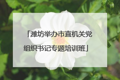 潍坊举办市直机关党组织书记专题培训班